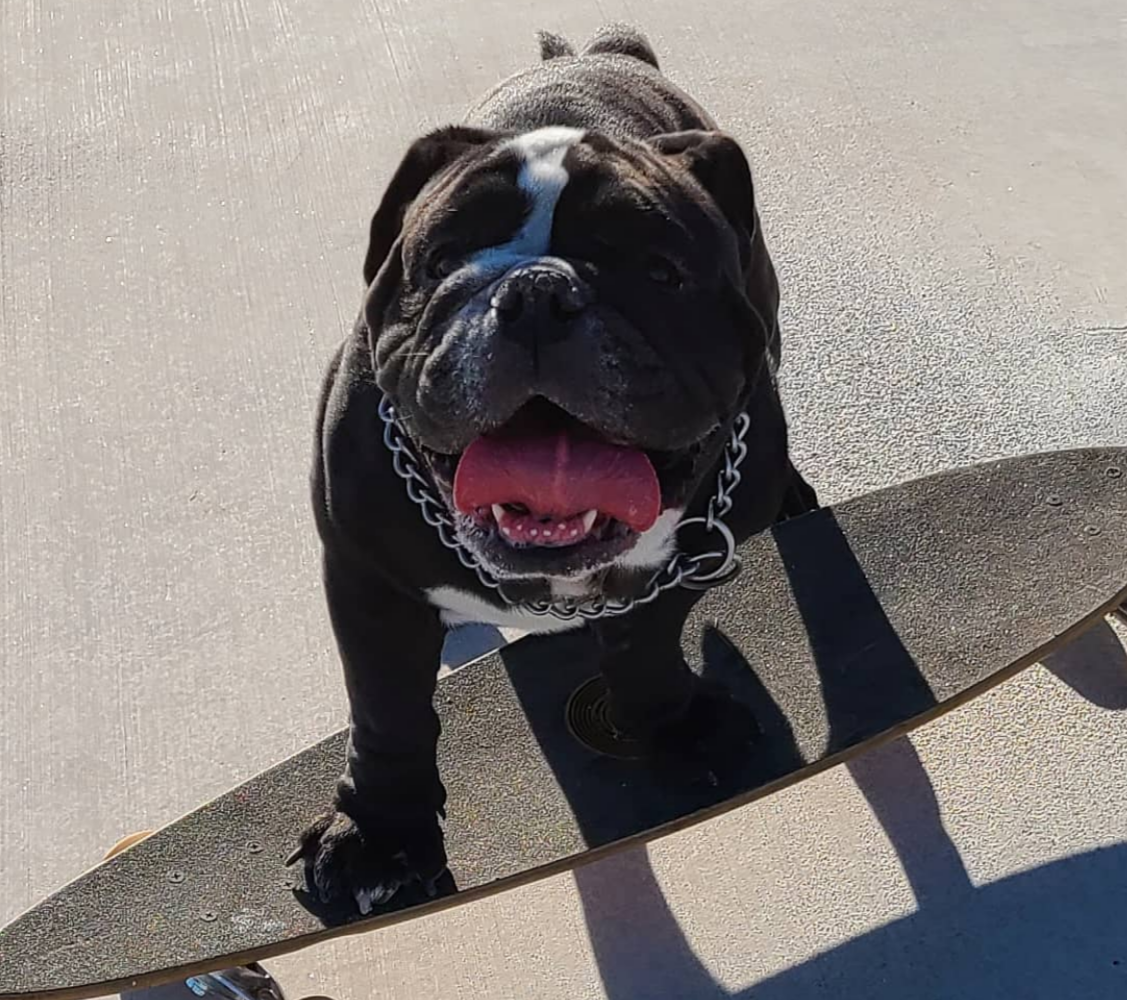 Stanley Skateboarding